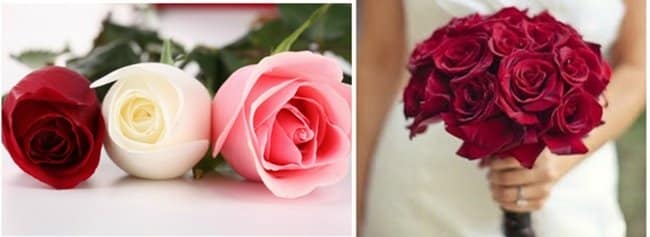 flores y novias