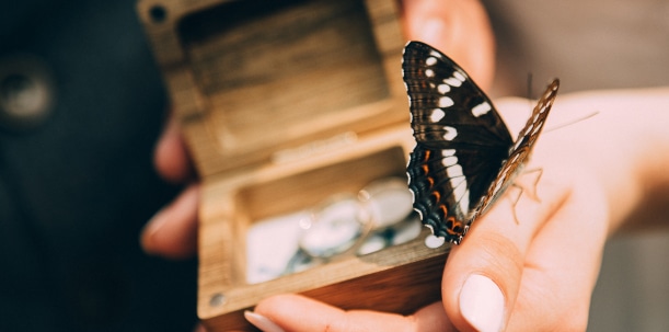 Imagen de una caja de madera con anillos dentro y una mariposa posada sobre la mano de quien sostiene la caja