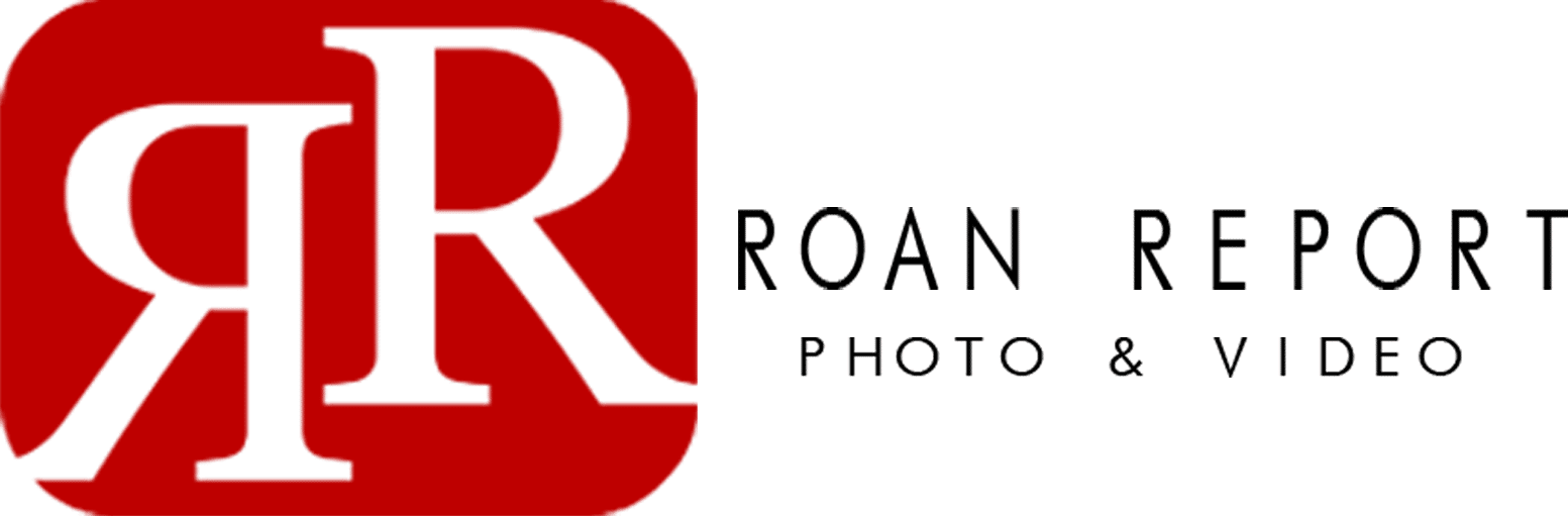 Logo Roan